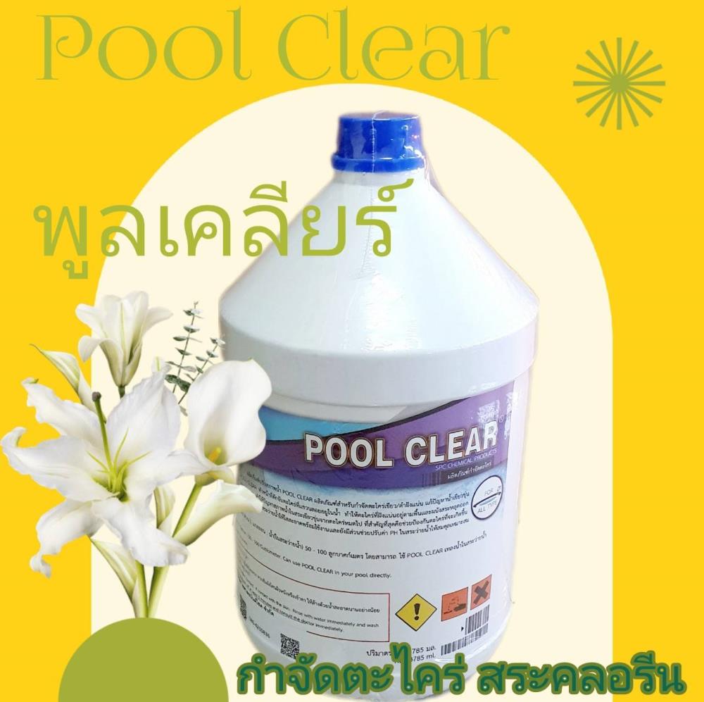 Pool Clear พูลเคลียร์ 3.8 ลิตร ผลิตภัณฑ์ปรับสภาพน้ำ สำหรับกำจัดตะไคร่,Pool Clear พูลเคลียร์ 3.8 ลิตร ผลิตภัณฑ์ปรับสภาพน้ำ สำหรับกำจัดตะไคร่,,Chemicals/General Chemicals
