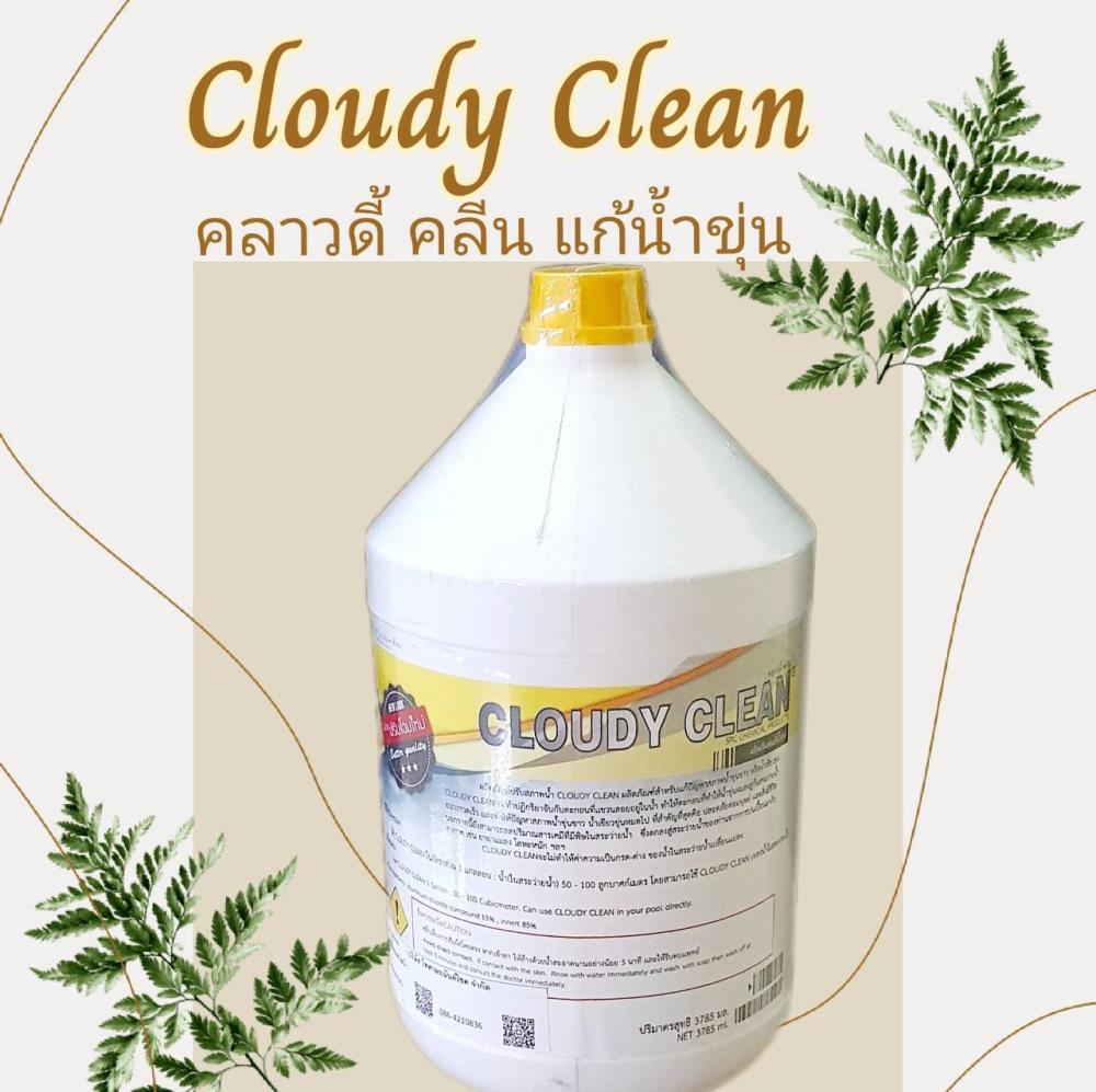 Cloudy Clean คลาวดี้ คลีน 3.8 ลิตร ผลิตภัณฑ์ปรับสภาพน้ำ สำหรับแก้น้ำขุ่น,Cloudy Clean คลาวดี้ คลีน 3.8 ลิตร ผลิตภัณฑ์ปรับสภาพน้ำ สำหรับแก้น้ำขุ่น,,Chemicals/General Chemicals