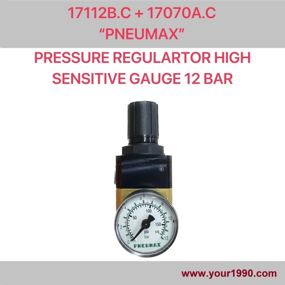 Pressure Regulator,Pressure Regulator,Pneumax,Instruments and Controls/Regulators