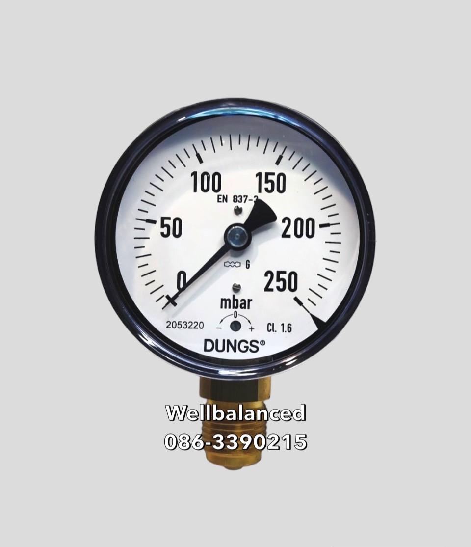 "DUNGS" Pressure Gauge 3" 0-250 mbar ,"DUNGS" Pressure Gauge 3" 0-250 mbar ,"DUNGS" Pressure Gauge 3" 0-250 mbar ,Instruments and Controls/Gauges