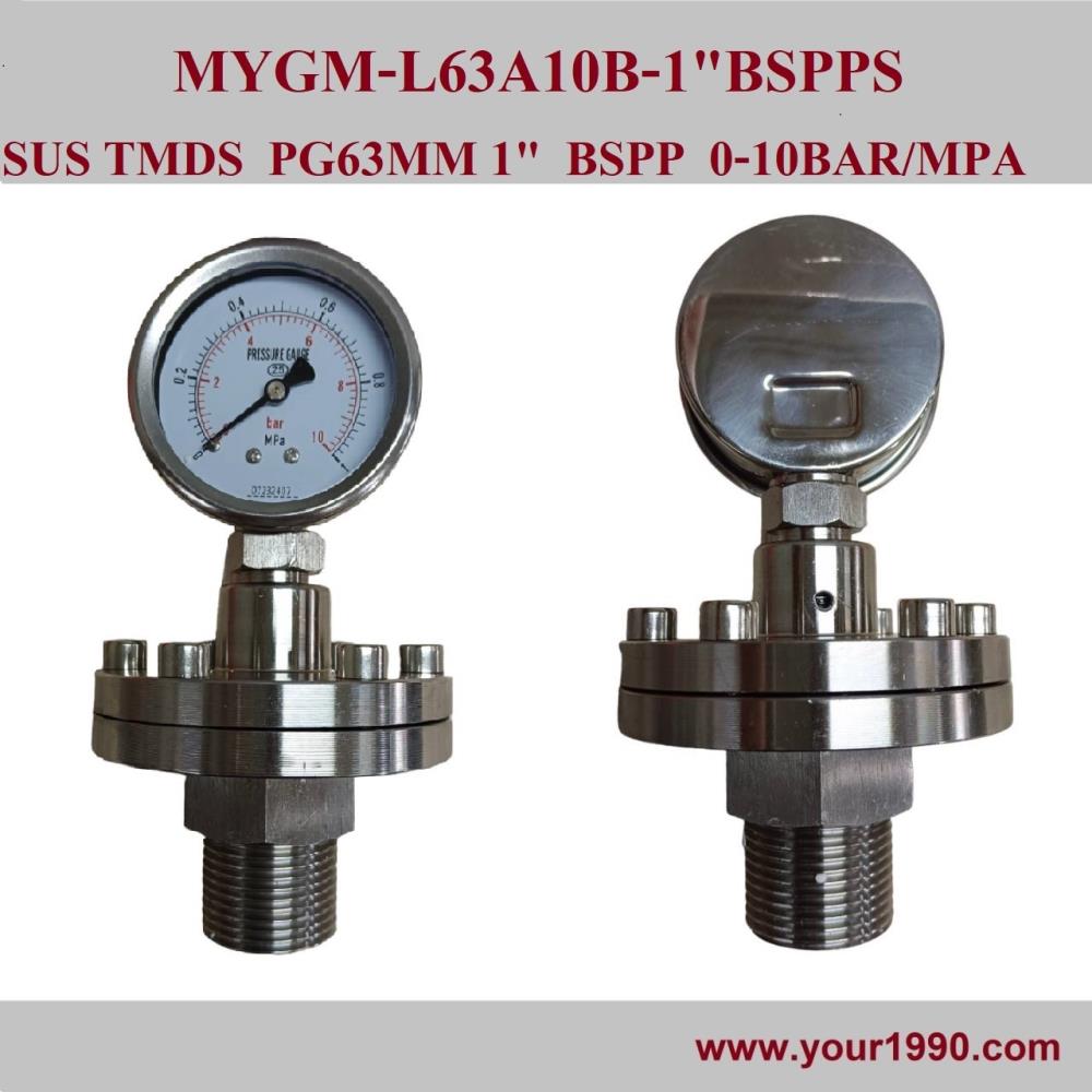 Diaphragm Pressure Gauge,Pressure Gauge/เกจ/Diaphragm Pressure Gauge,,Instruments and Controls/Gauges