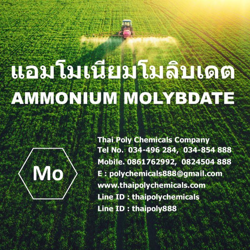 แอมโมเนียมโมลิบเดต, Ammonium Molybdate, ผงจุลธาตุโมลิบดินัม, แอมโมเนียมโมลิบเดท, จุลธาตุในดิน, Micronutrients,แอมโมเนียมโมลิบเดต, Ammonium Molybdate, ผงจุลธาตุโมลิบดินัม, แอมโมเนียมโมลิบเดท, จุลธาตุในดิน, Micronutrients,แอมโมเนียมโมลิบเดต, Ammonium Molybdate, ผงจุลธาตุโมลิบดินัม, แอมโมเนียมโมลิบเดท, จุลธาตุในดิน, Micronutrients,Chemicals/General Chemicals