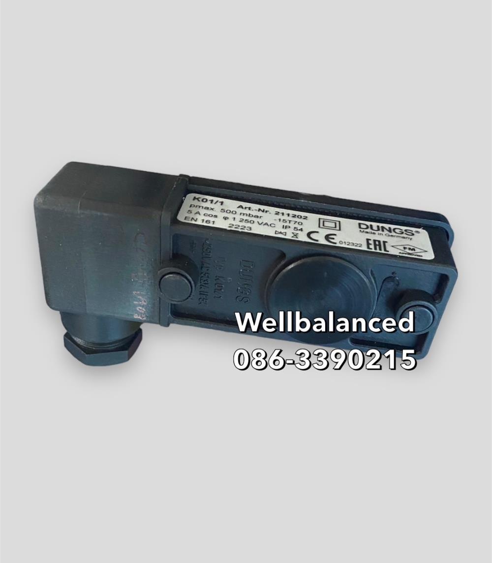 DUNG  Closed Position Indicator Switch K01/1,DUNG  Closed Position Indicator Switch K01/1,DUNG  Closed Position Indicator Switch K01/1,Instruments and Controls/Switches