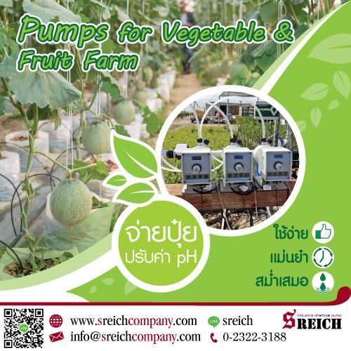 เทคโนโลยีการจ่ายปุ๋ยพร้อมน้ำเลี้ยง ที่จะช่วยประหยัดเวลาและประหยัดแรงงานเกษตรกรไทย