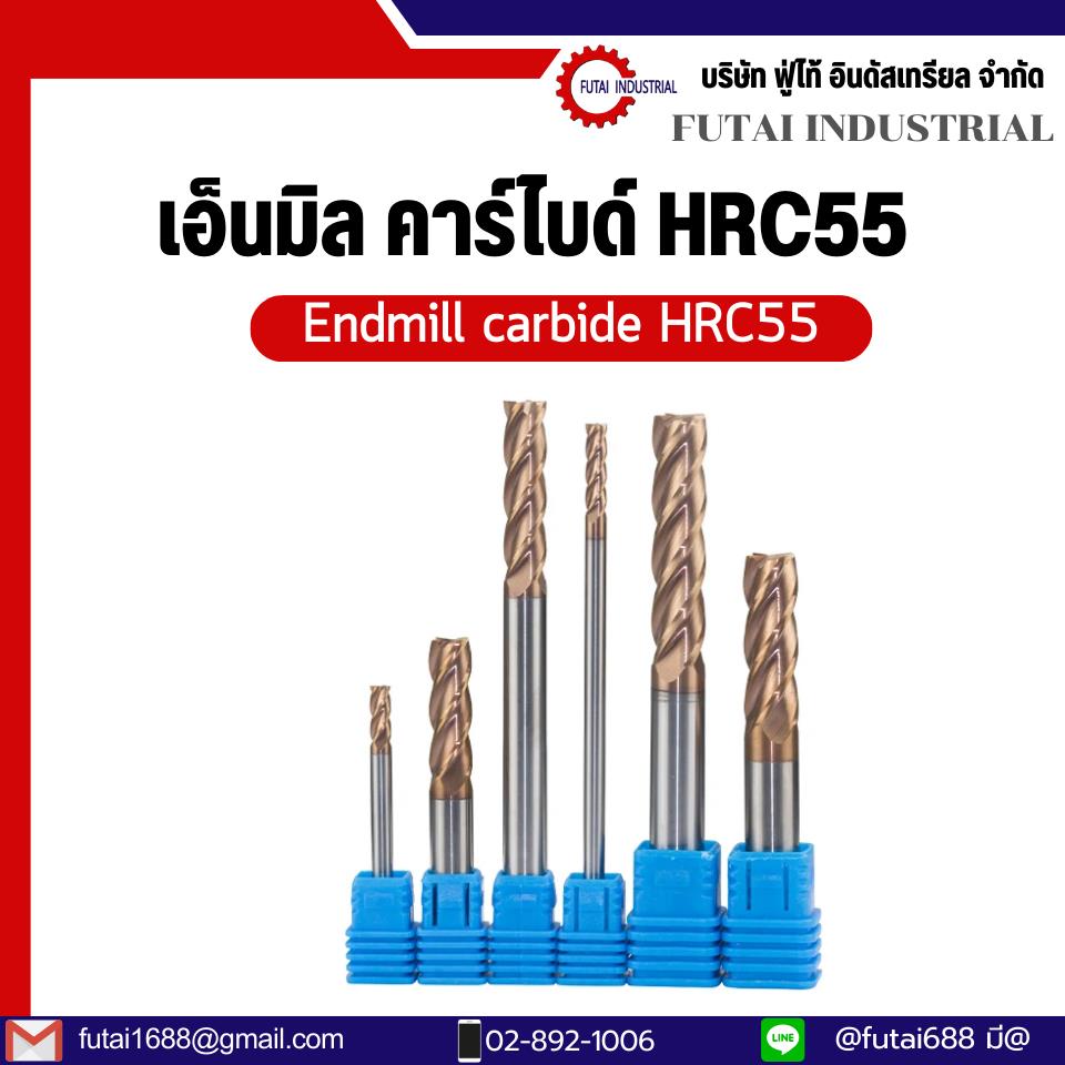 เอ็นมิลคาร์ไบด์  HRC55 Endmill Carbide HRC55 4 ฟัน / 2 ฟัน