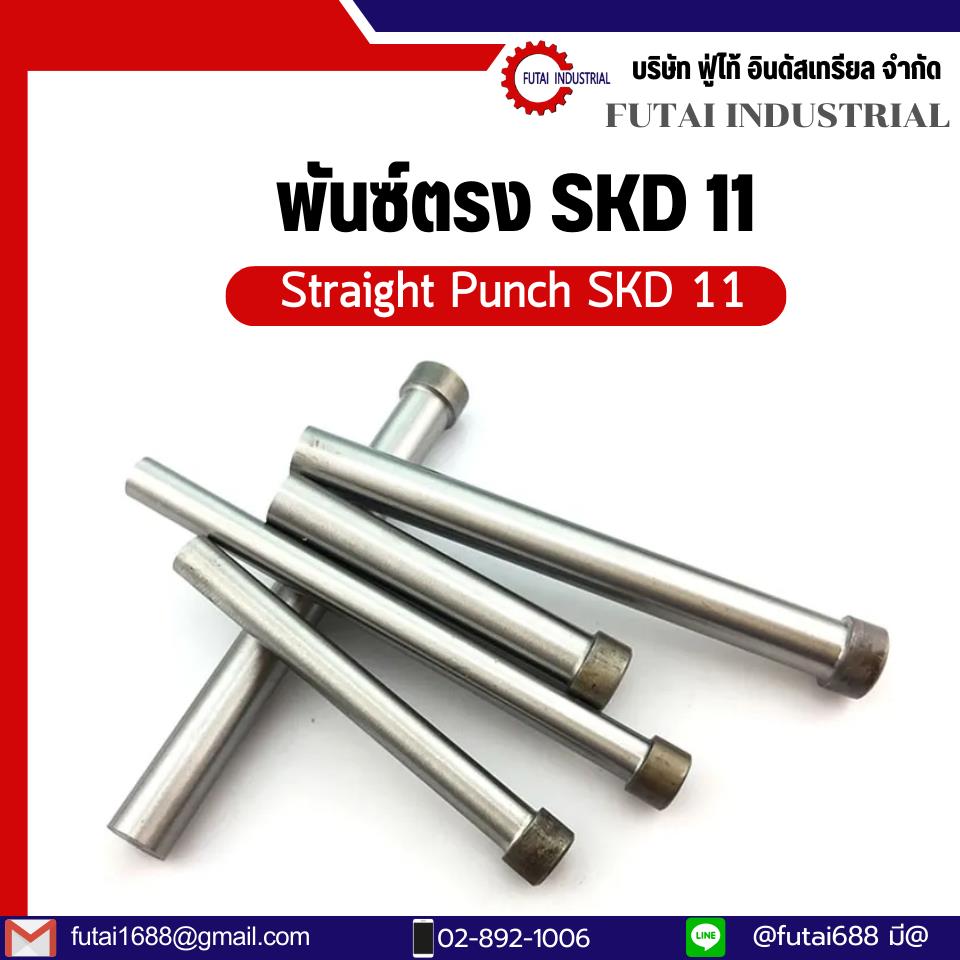 พั้นช์ตรง Straight Punch SKD-11 พั้นซ์ตรง SKD11  เข็มตอก สำหรับแม่พิมพ์ปั้มโลหะ ,พั้นช์ตรง Straight Punch ,futai,Tool and Tooling/Mould