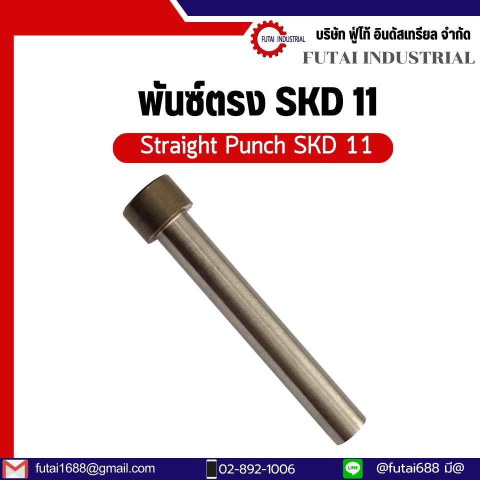 พั้นช์ตรง Straight Punch SKD-11 พั้นซ์ตรง SKD11  เข็มตอก สำหรับแม่พิมพ์ปั้มโลหะ 