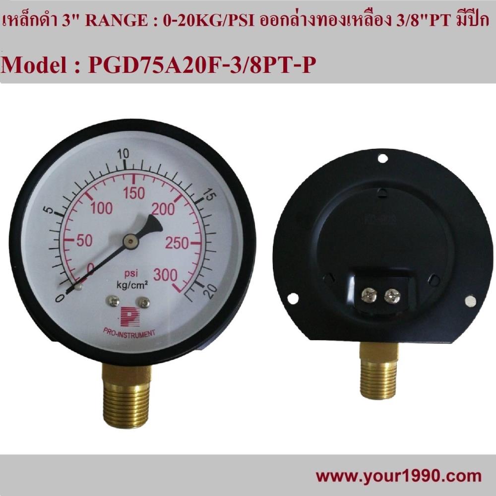 Pressure Gauge,Pressure Gauge/เกจ,Pro-Instrument,Instruments and Controls/Gauges